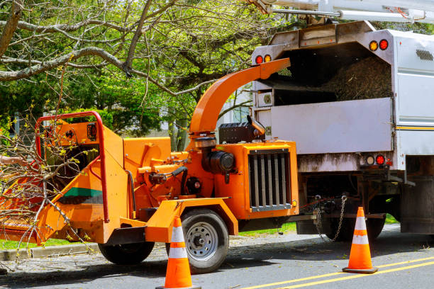 Best Arborist Services Near Me  in Fort Clark Springs, TX